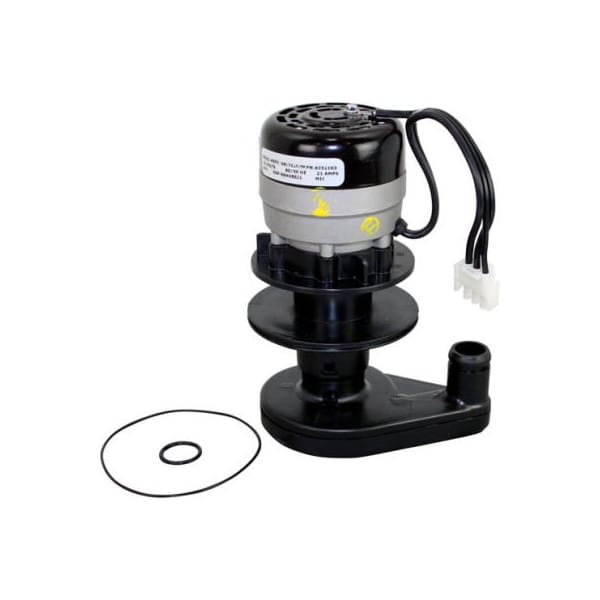 Water Pump - 230V For Manitowoc Machines